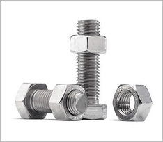 SS Nut and Bolt